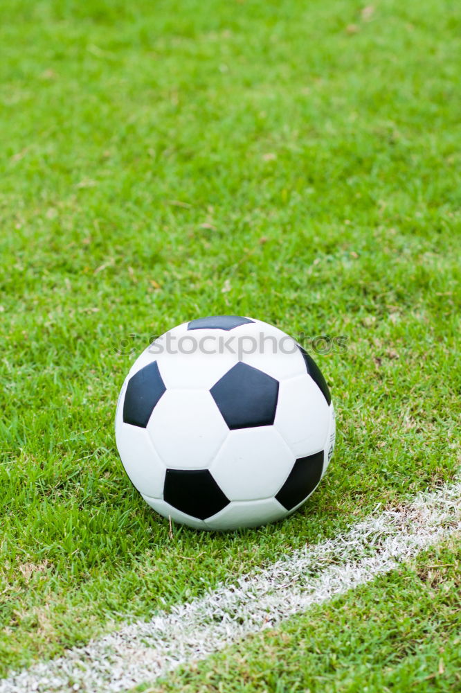 Similar – Image, Stock Photo folly Design Joy