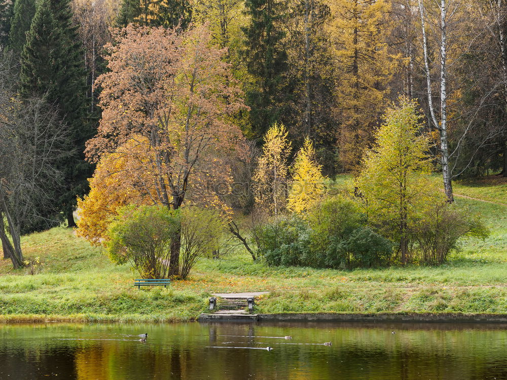 Similar – Swimming lake in Sweden