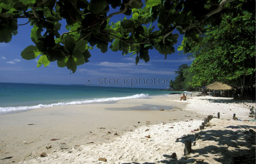 Foto Bild Seychellen Bucht Strand