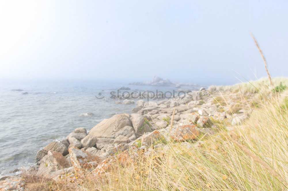 Similar – Image, Stock Photo West beach on the Darß