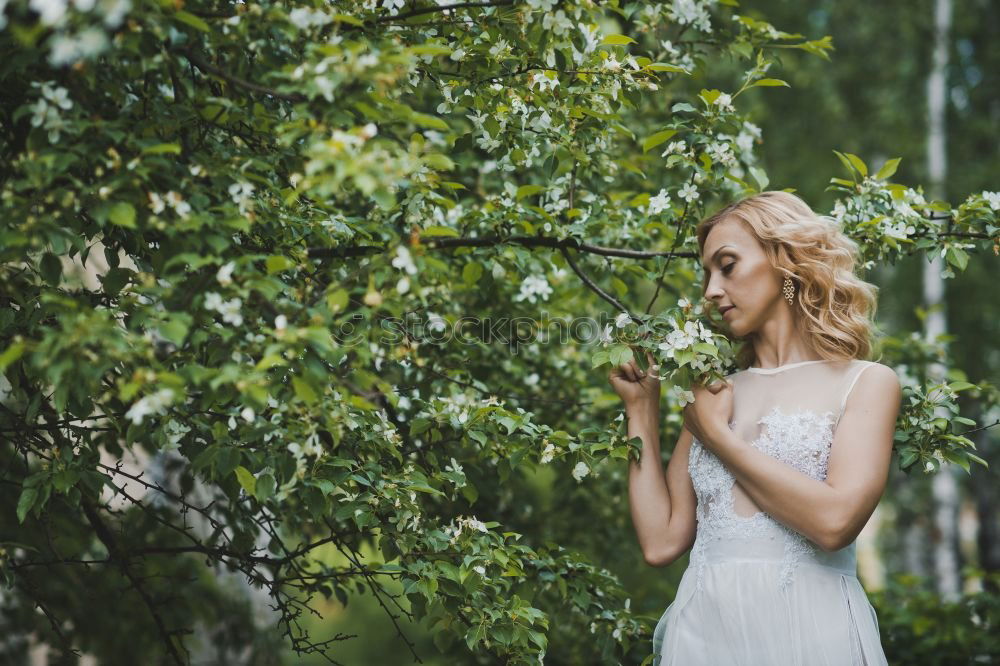 Image, Stock Photo A bouquet full of summer