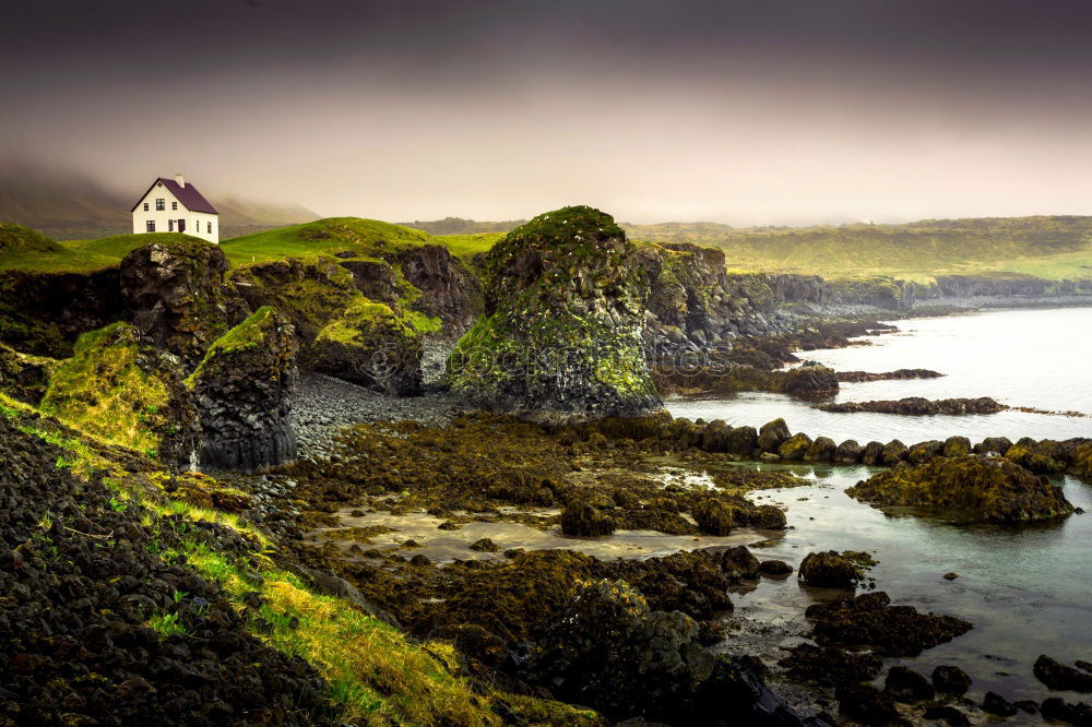 Similar – Image, Stock Photo Coastal Trail At The Spectacular Atlantic Cost On St. Abbs Head in Scotland