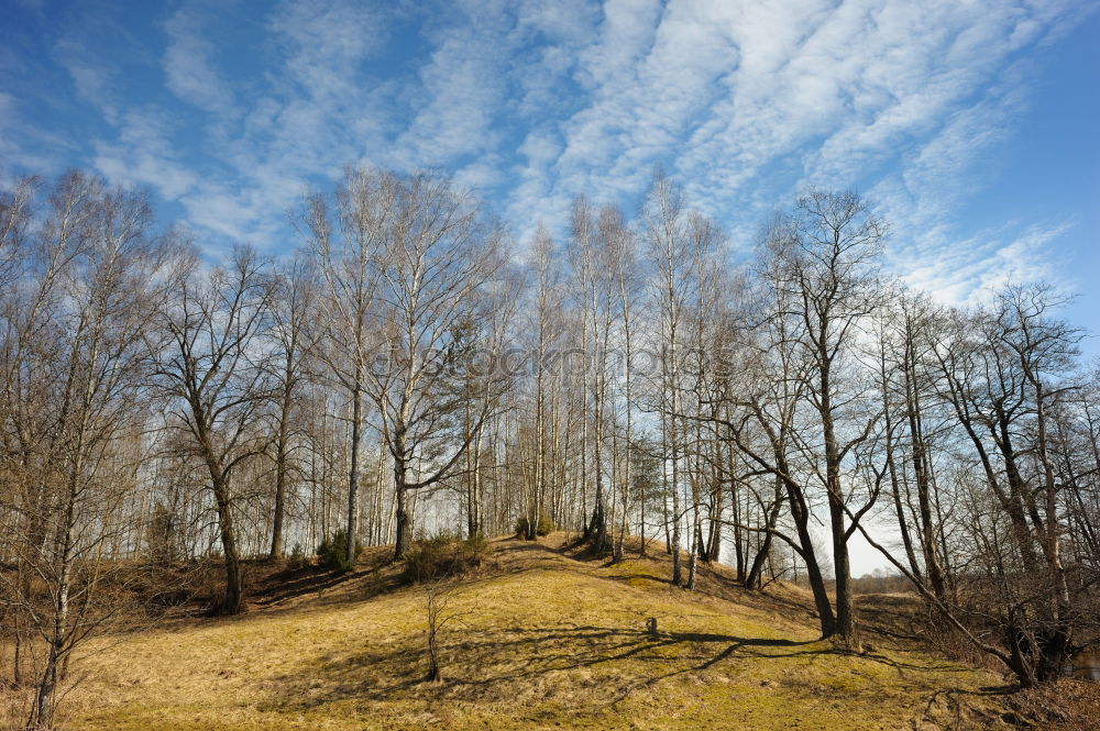 Similar – Kapelle Religion & Glaube