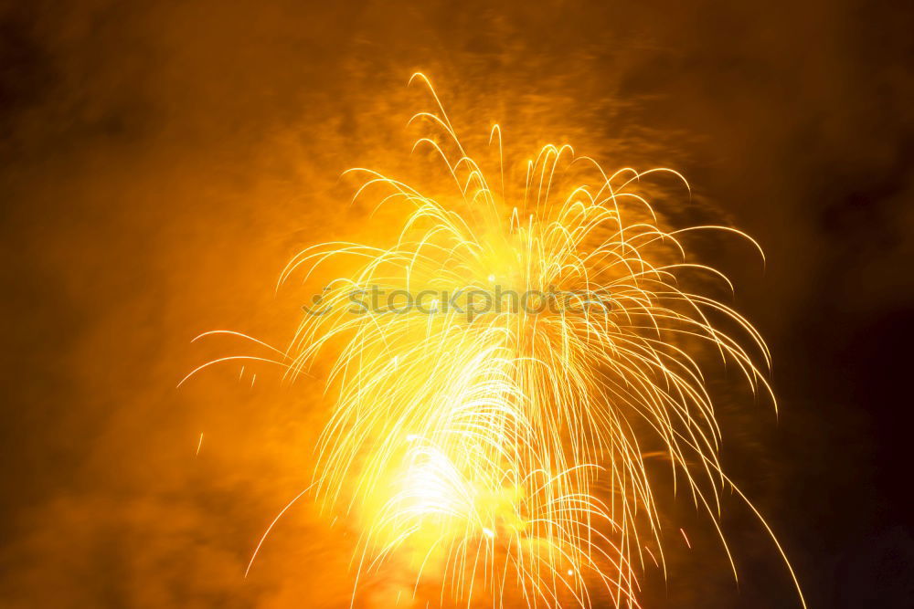 Similar – Foto Bild goldregen Explosion
