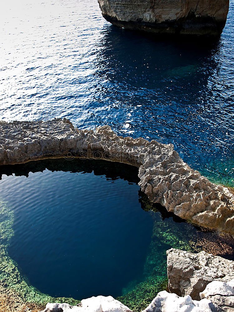 cliff diver Nature