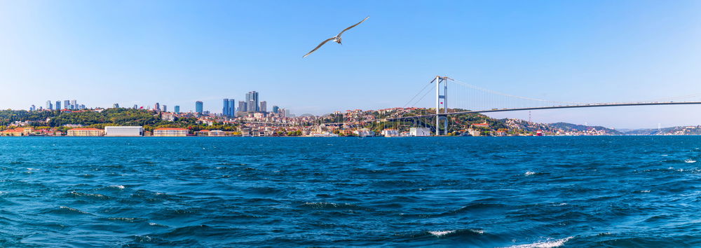 Similar – Image, Stock Photo Istanbul Vacation & Travel