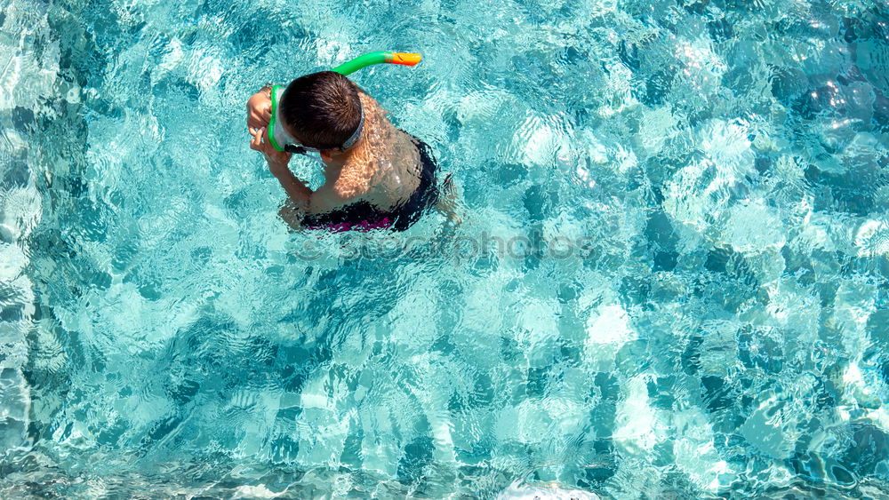 Similar – Image, Stock Photo swimming picture