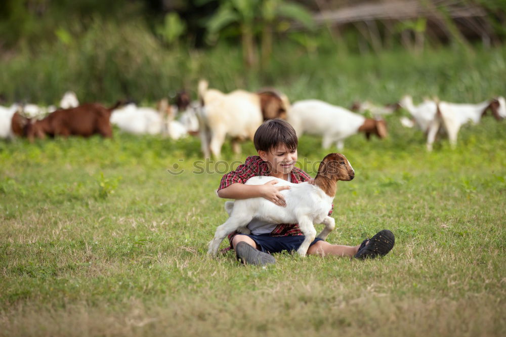 Similar – Animal Encounter