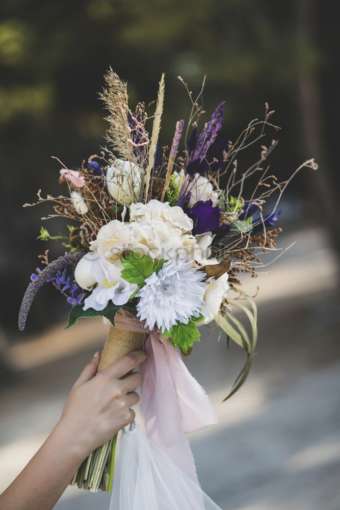 Similar – Image, Stock Photo bridal couple Happy Event