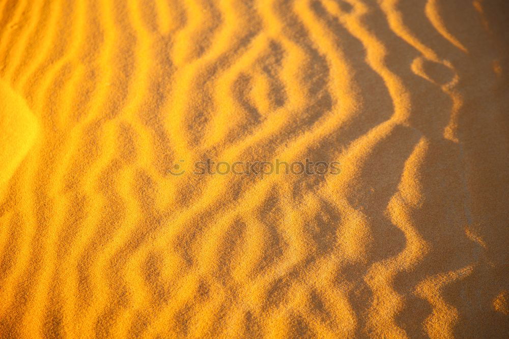 Similar – Image, Stock Photo snowy desert Orange filter