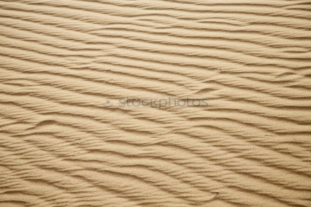 Similar – Image, Stock Photo the sahara morocco desert