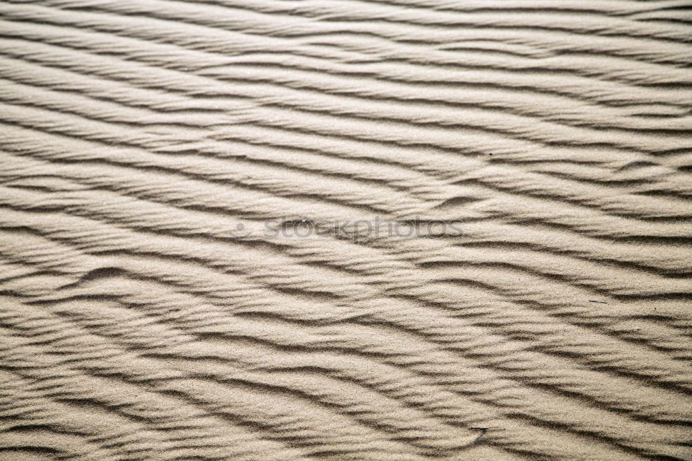 Similar – Image, Stock Photo 119 [dune]