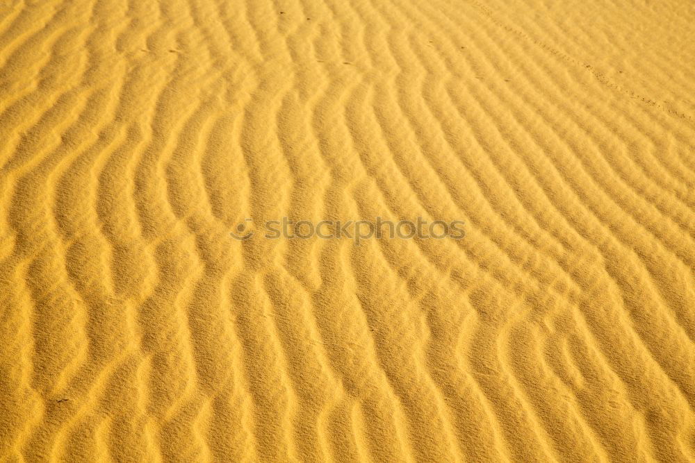 Similar – the brown sand dune in the sahara morocco desert