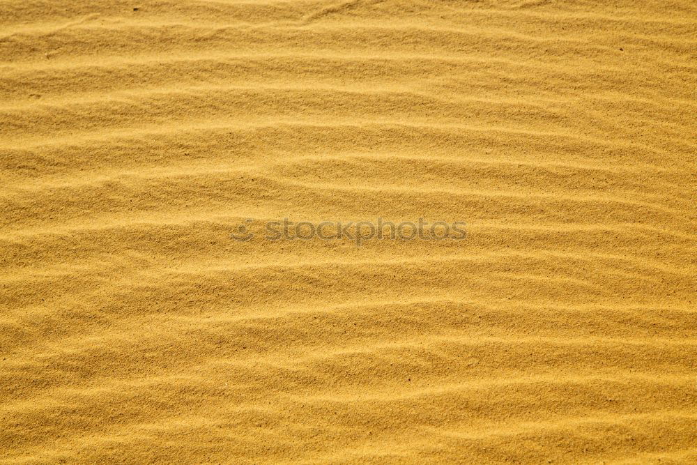 Similar – Sand texture on the beach