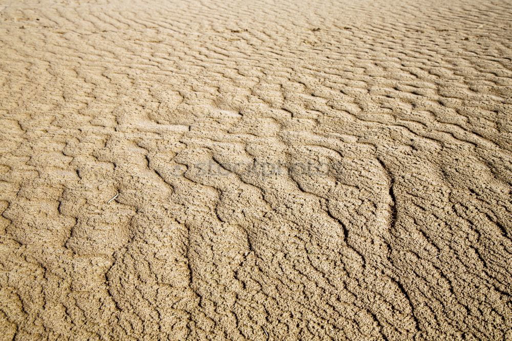 Similar – Image, Stock Photo run sand Blade of grass