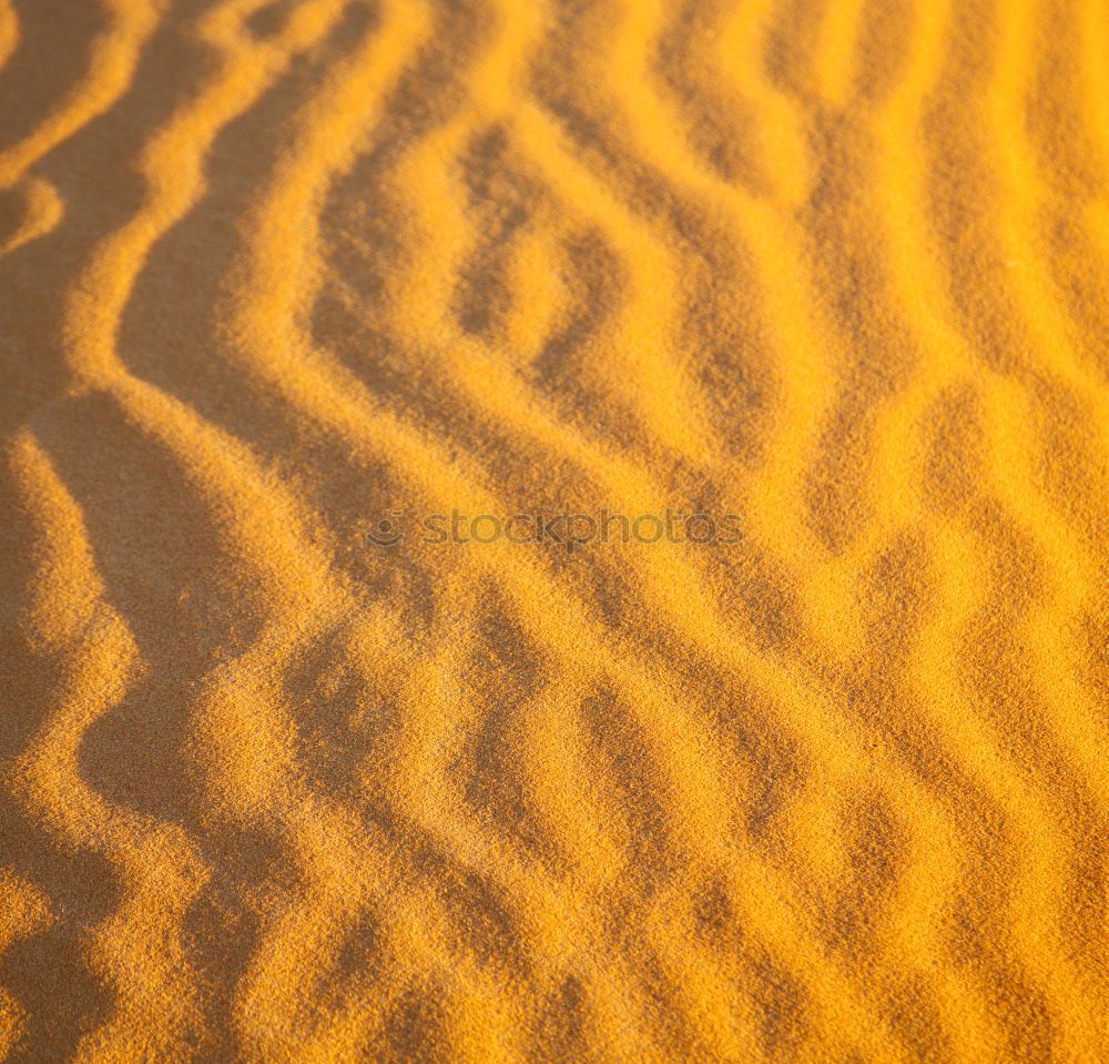 Similar – in the sahara morocco desert