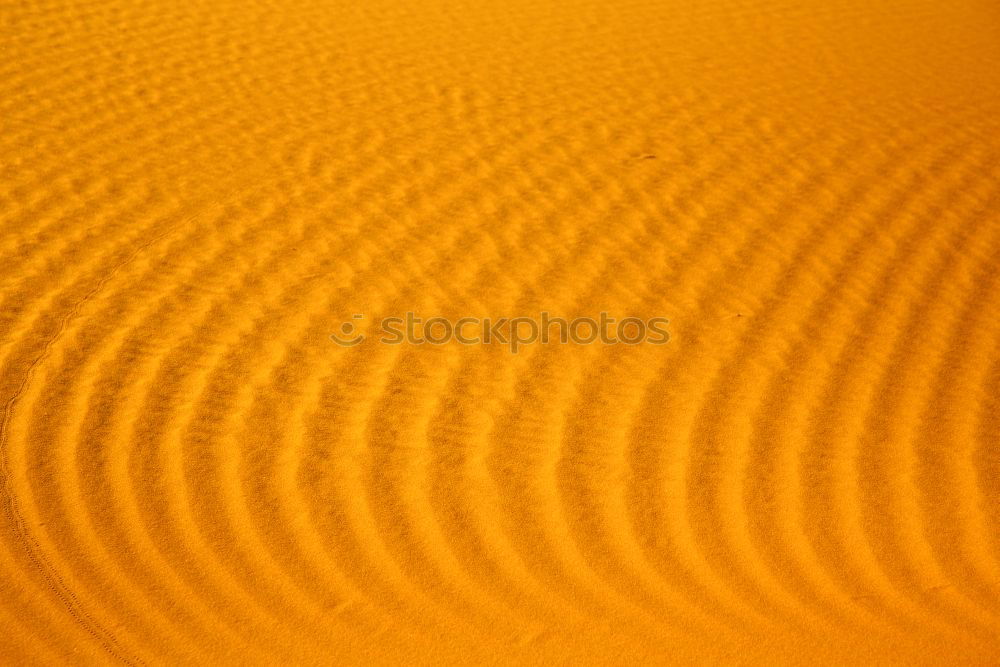 Similar – dune in the sahara morocco desert