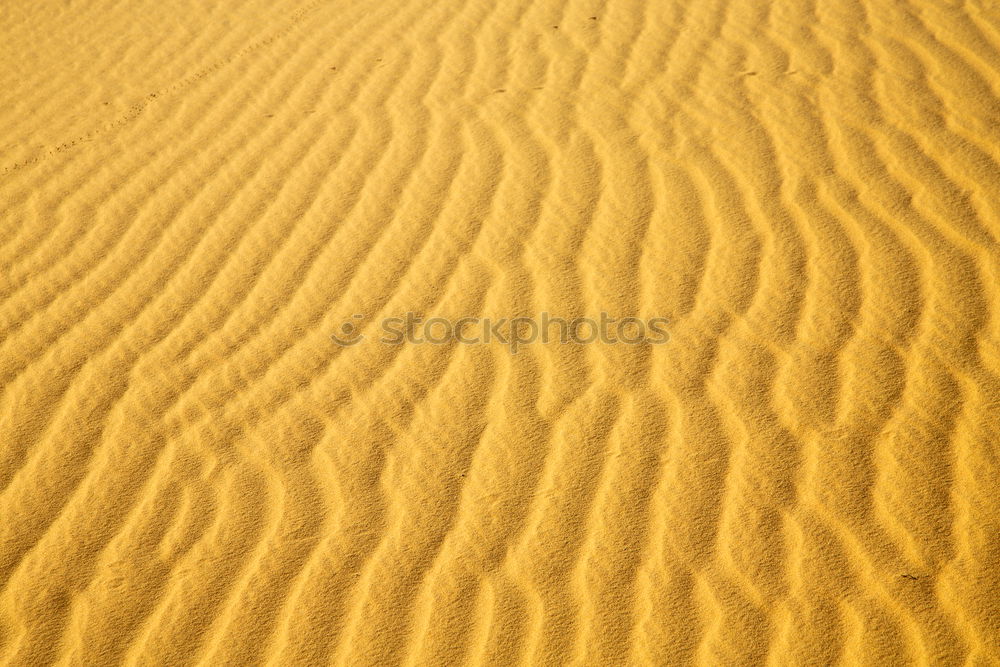 Similar – the brown sand dune in the sahara morocco desert