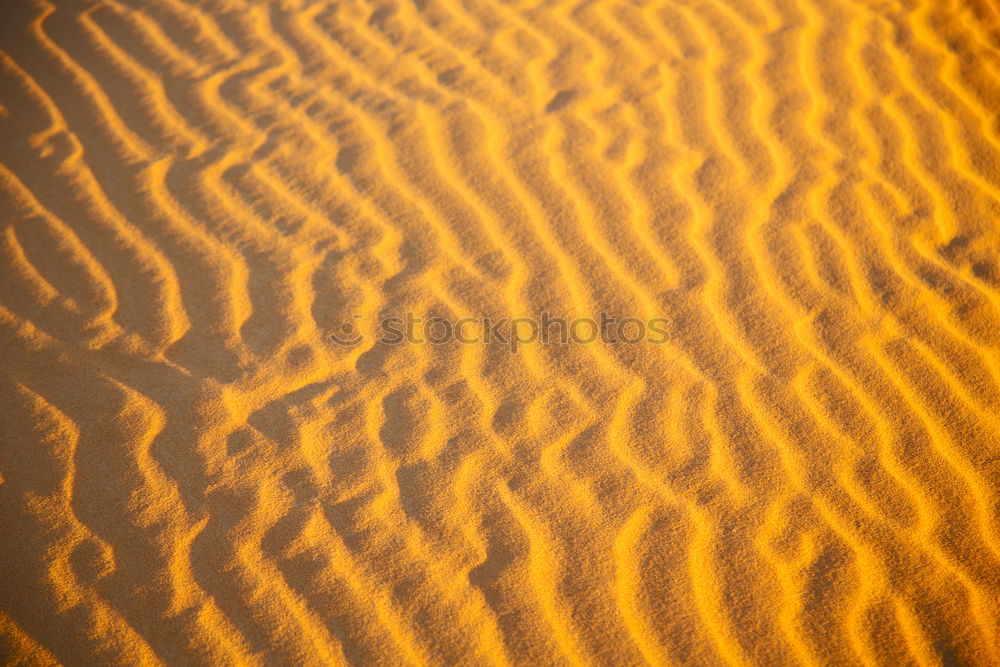 Similar – in the sahara morocco desert