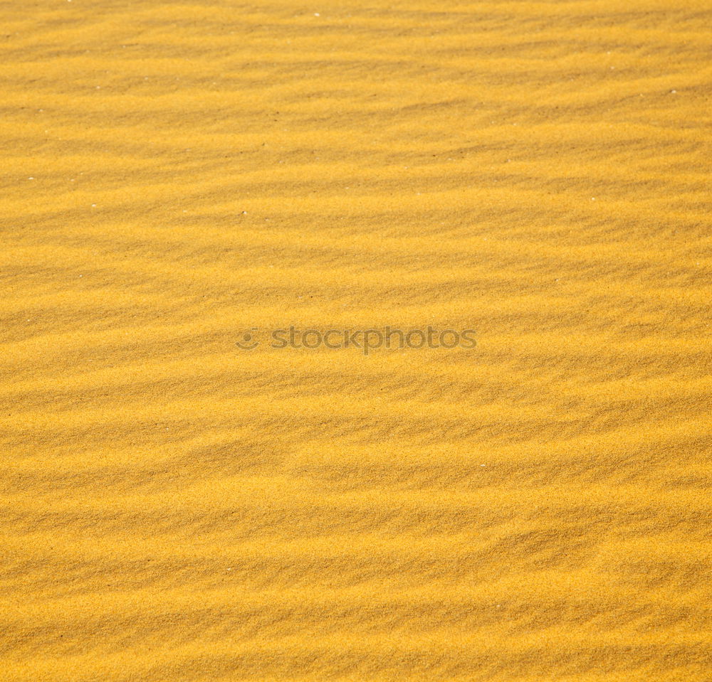 Similar – Sand texture on the beach