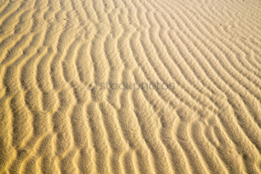 Similar – the brown sand dune in the sahara morocco desert