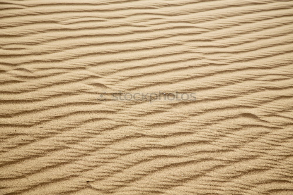 Similar – Image, Stock Photo the sahara morocco desert