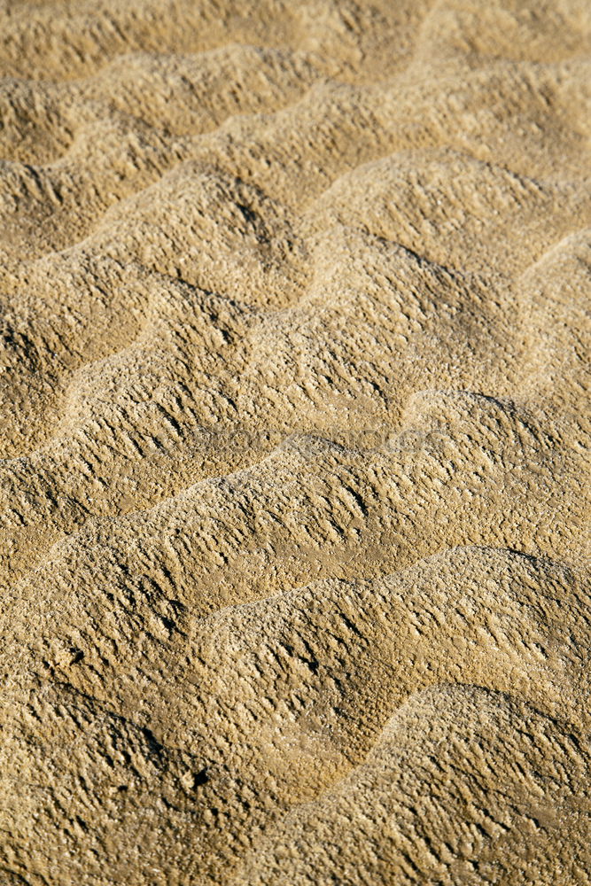 Similar – Image, Stock Photo the sahara morocco desert