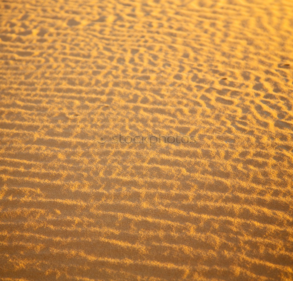 Similar – desert Beach Sand Desert