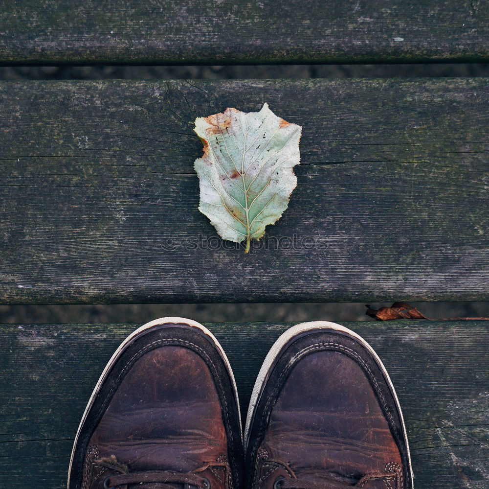 Similar – Image, Stock Photo time, time, time I Musical