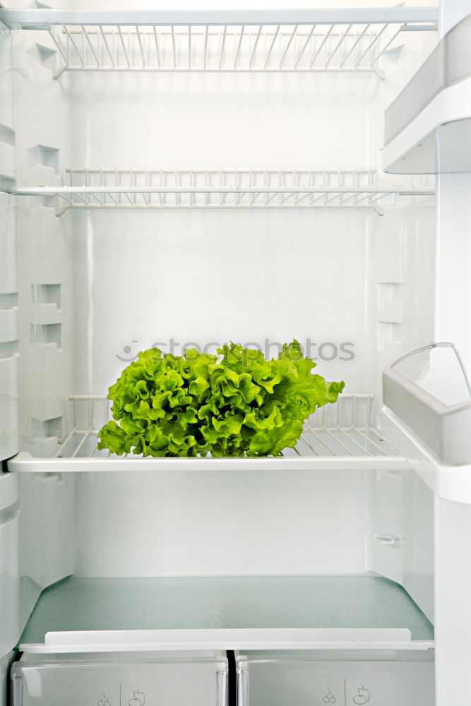 Green vegetables and greens in open refrigerator