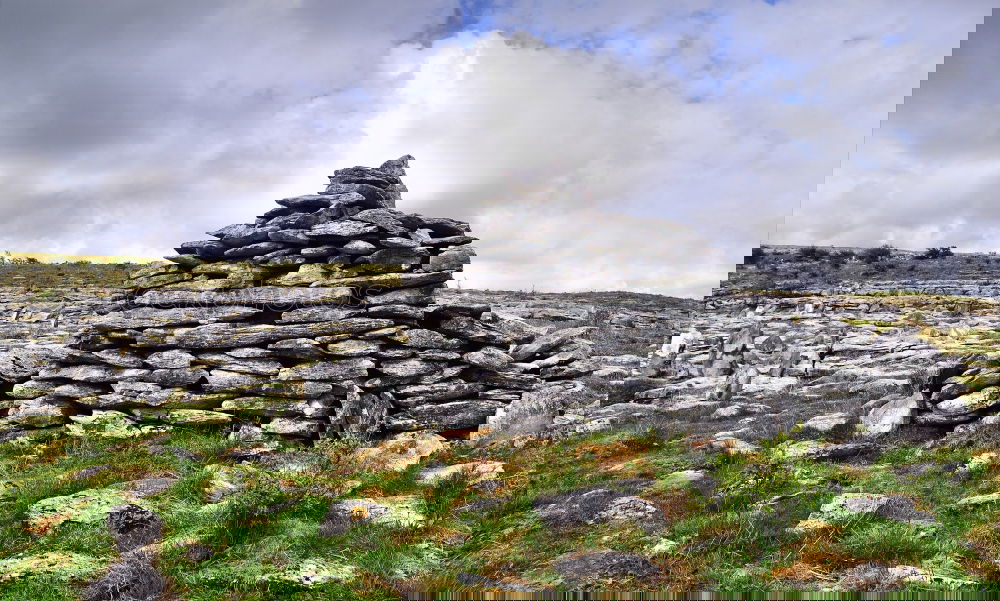 Similar – Foto Bild small people, big nature [1/5]