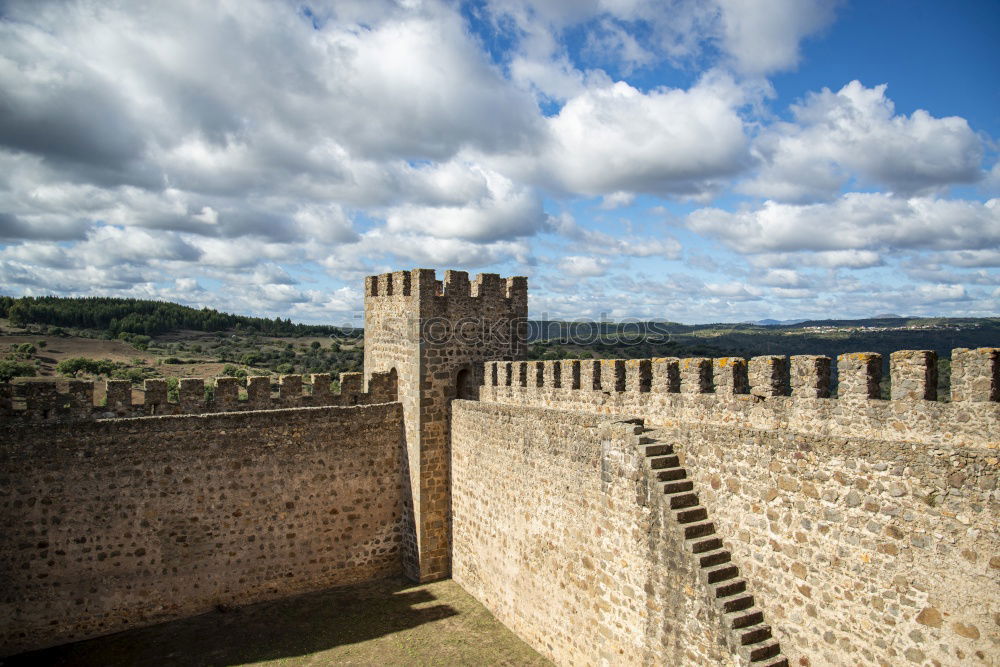 Foto Bild Chinesische Mauer während der Kirschblüte