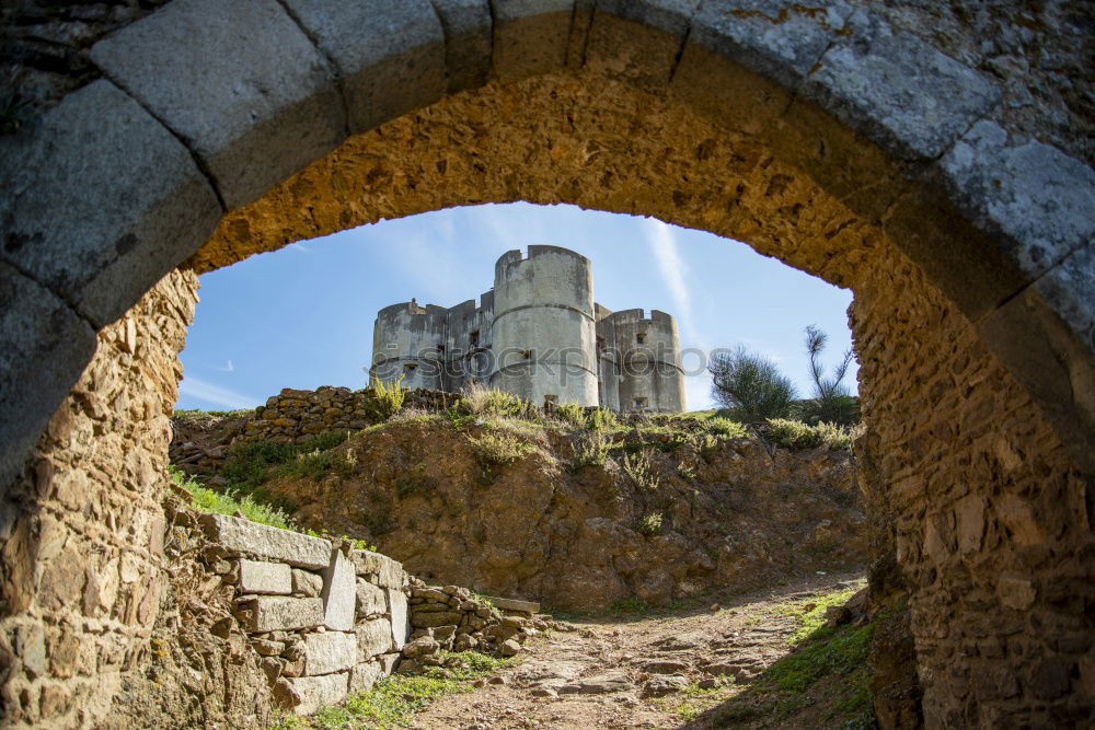 Similar – Image, Stock Photo Trim Castle Sky Clouds