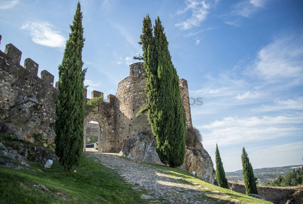 Similar – Image, Stock Photo Forum Romanum: Semper floreat!