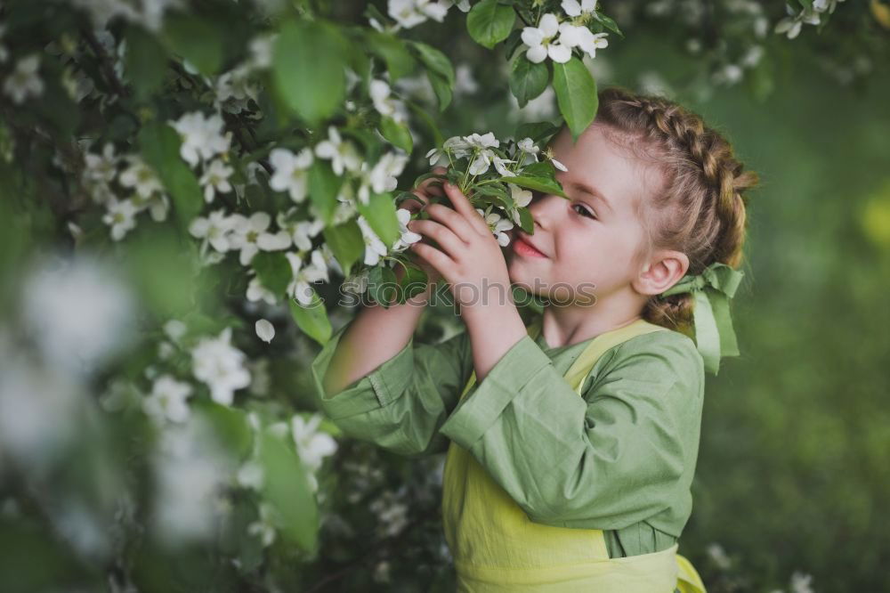 Similar – . Frucht Apfel Bioprodukte