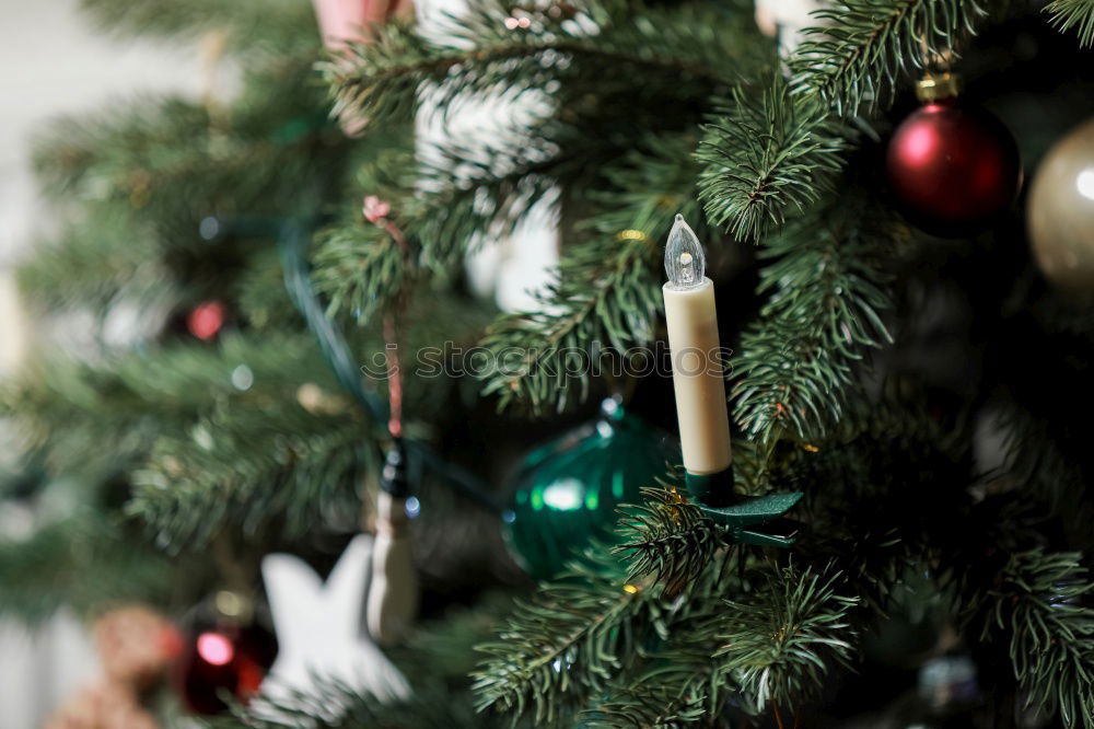 Similar – Image, Stock Photo Nostalgic Christmas decoration with delicate fir branches, red bauble and vases on an old table. Red christmas bauble hangs shiny on twigs. Glowing Christmas bauble hanging from branches in old white nostalgic porcelain pots at home.