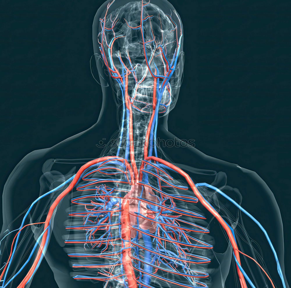 Similar – Körpersprache Torso