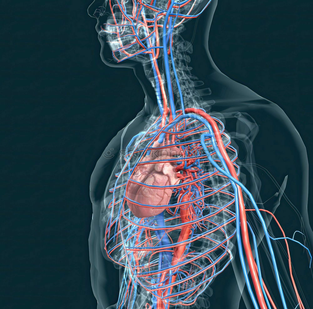 Similar – Körpersprache Torso