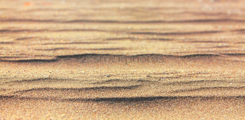 Similar – Image, Stock Photo Beautiful aerial view of a beach with waves