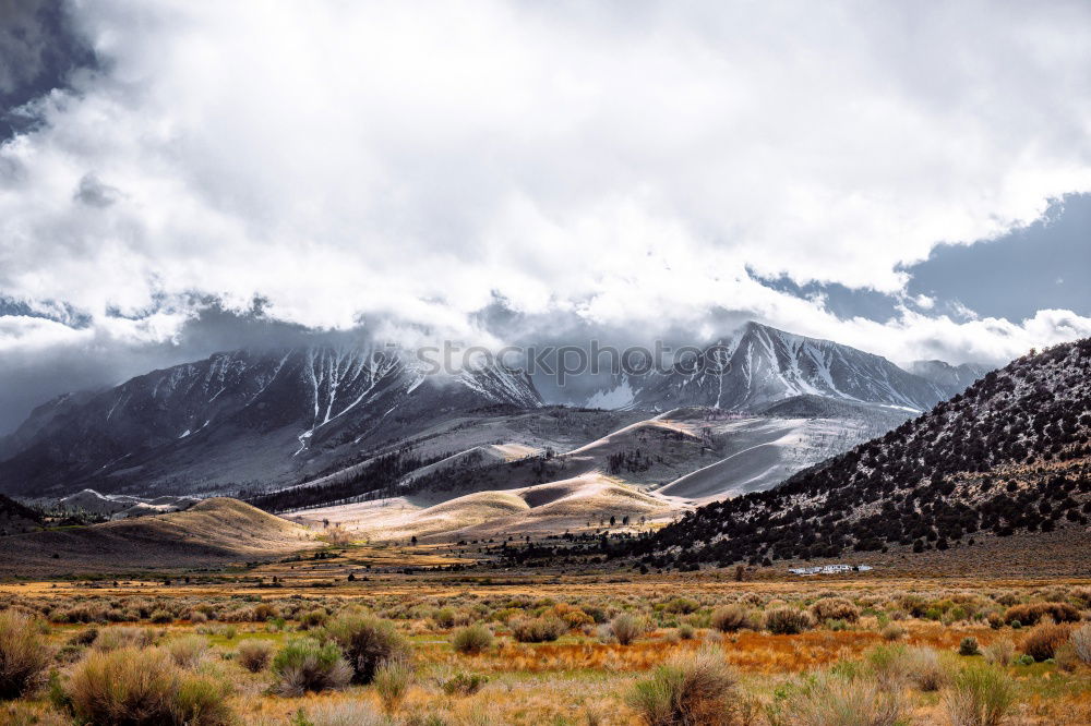 Similar – Image, Stock Photo onset of winter