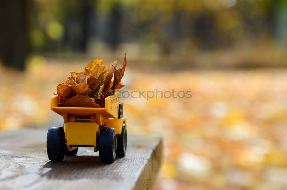 Similar – Image, Stock Photo Wheelbarrow with leaves in autumn