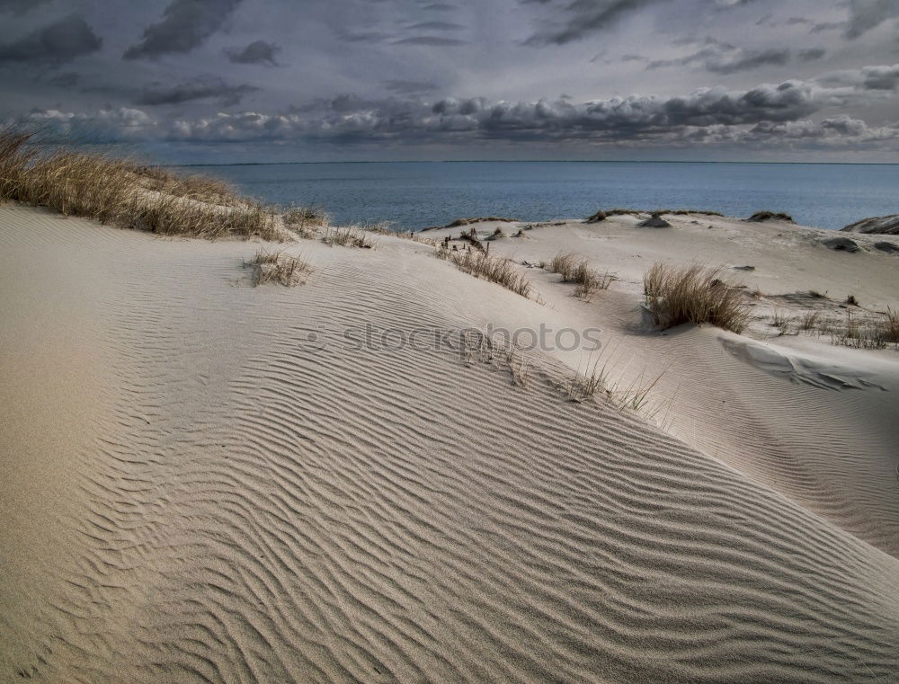 Similar – On the beach at low tide…