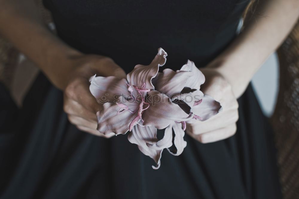 Similar – Image, Stock Photo Woman wrapping Christmas wreath with natural flowers