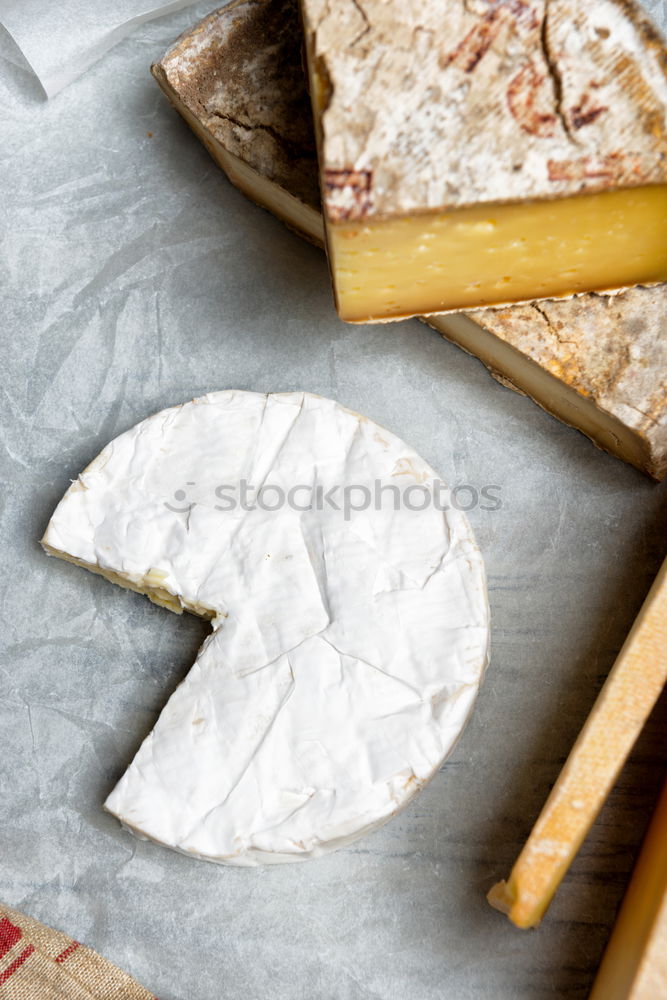 Similar – Semi-cured sheep cheese Villarejo Rosemary