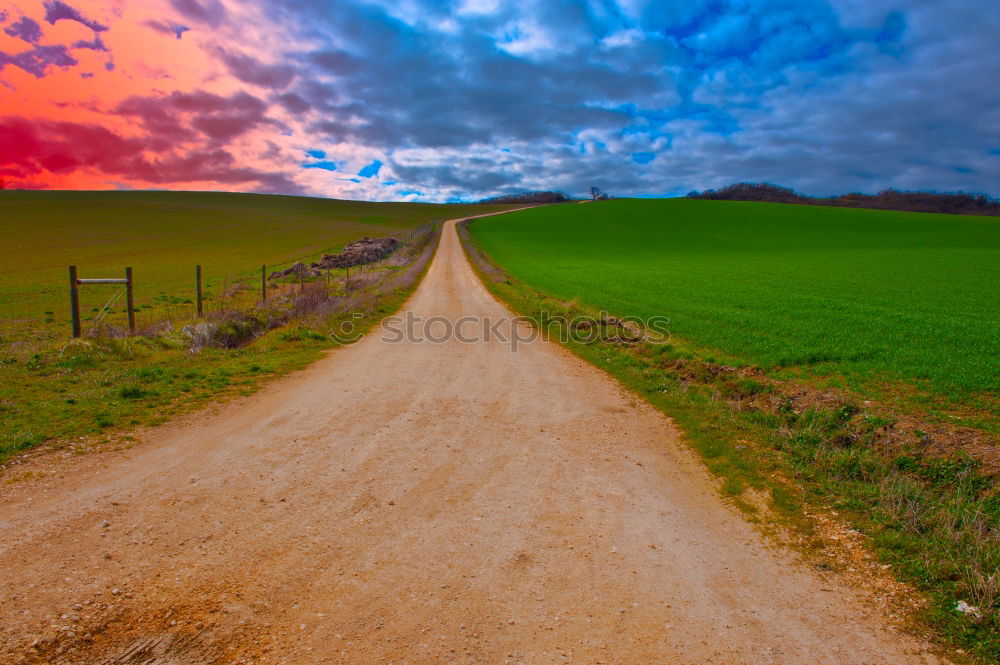 Similar – Sun at the end of a lonely street with a tree