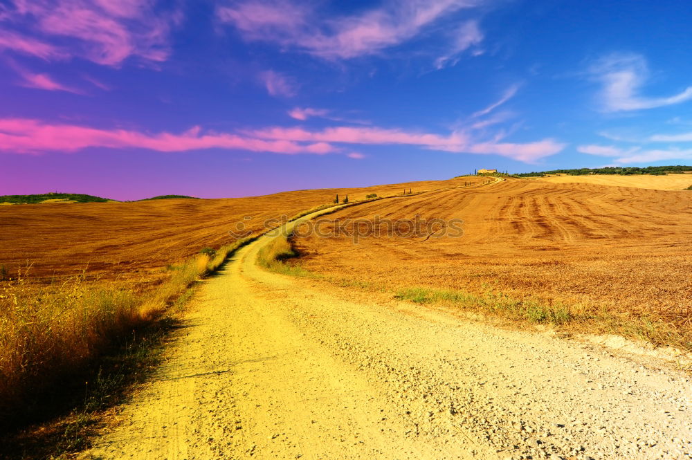 Similar – Foto Bild Wanderdünen Landschaft