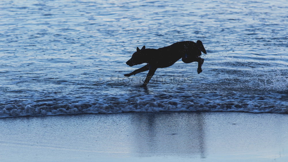 Similar – Foto Bild Aqua Aerobic I Farbfoto