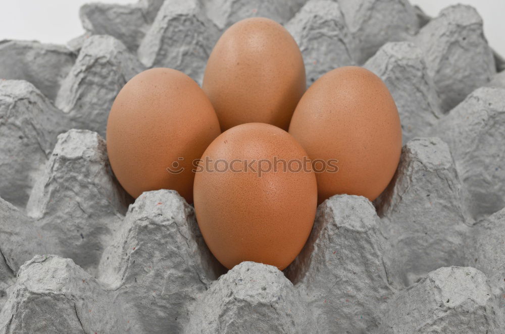 Similar – Image, Stock Photo hatch somewhat Cardboard