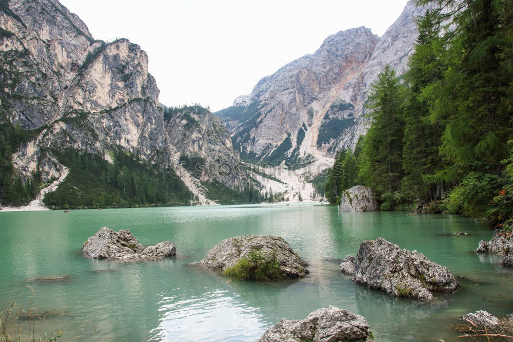 Similar – Waldsee mit Blick zum Schlern