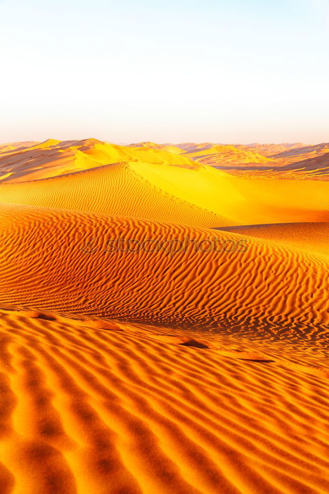 Similar – Dunes on desert sand Sand